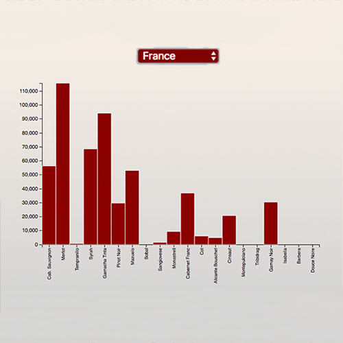 Bar Chart - Top Red Wine Grape